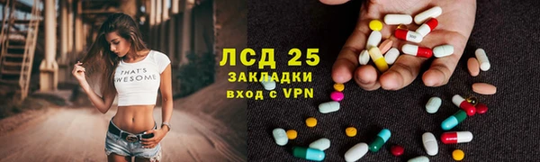 мдпв Каменногорск