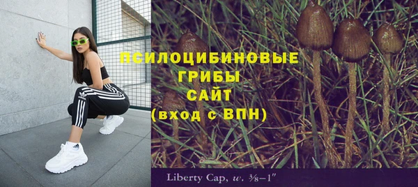 каннабис Карпинск