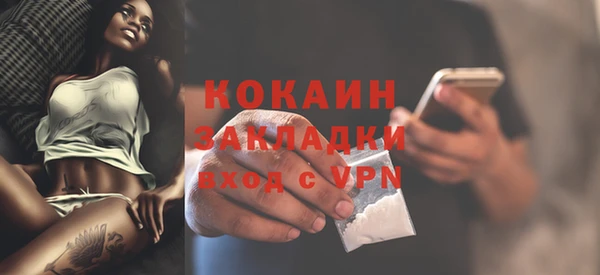 мдпв Каменногорск
