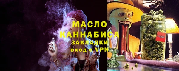 мдпв Каменногорск