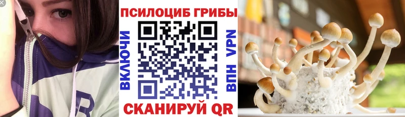 Купить закладки  Ивдель  Псилоцибиновые грибы мицелий 